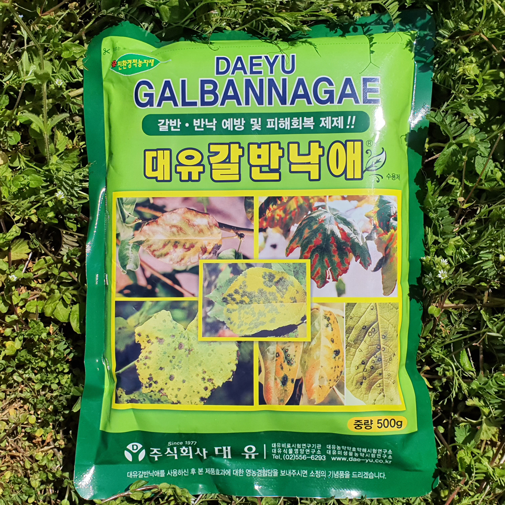 농작물 갈색무늬병 갈반병 점무늬낙엽병 반낙병 예방 회복 치료제 갈반낙애 500g : 푸른텃밭세상