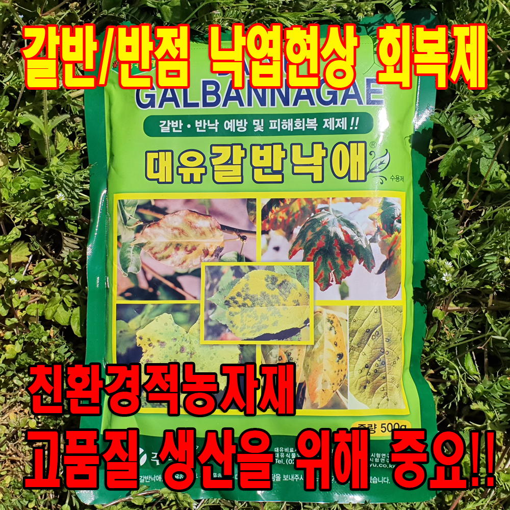 농작물 갈색무늬병 갈반병 점무늬낙엽병 반낙병 예방 회복 치료제 갈반낙애 500g : 푸른텃밭세상
