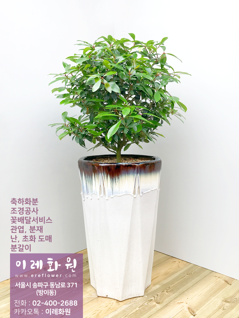 옥향 : 이레화원