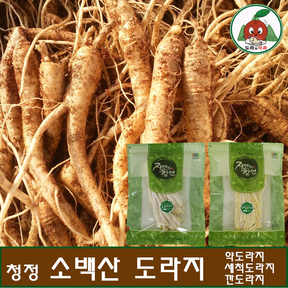 영주소백산 흙도라지5kg (나물/약도라지) : 청정소백