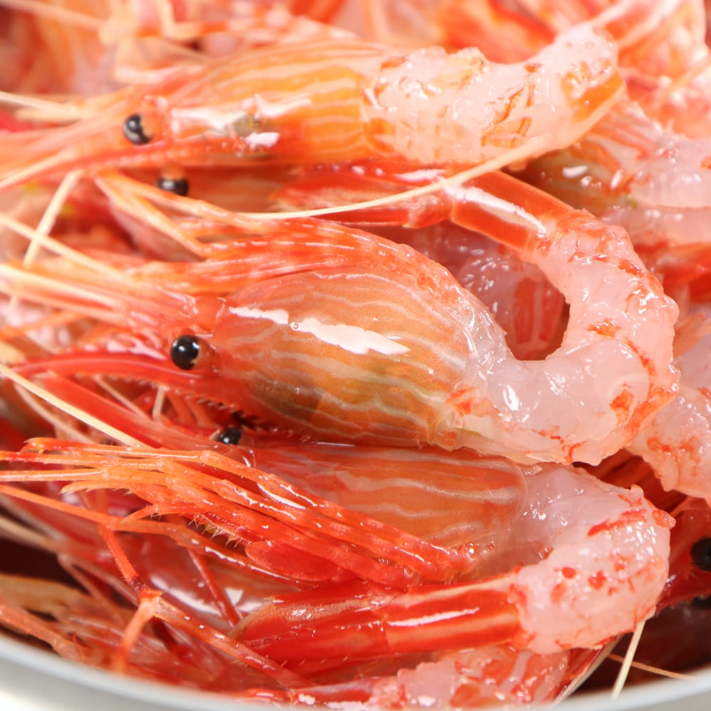 자연산 독도 연안 활 꽃새우 닭 회 500g 철 생 활어 냉동 급냉 횟감 제철 울릉도 : 시골박사