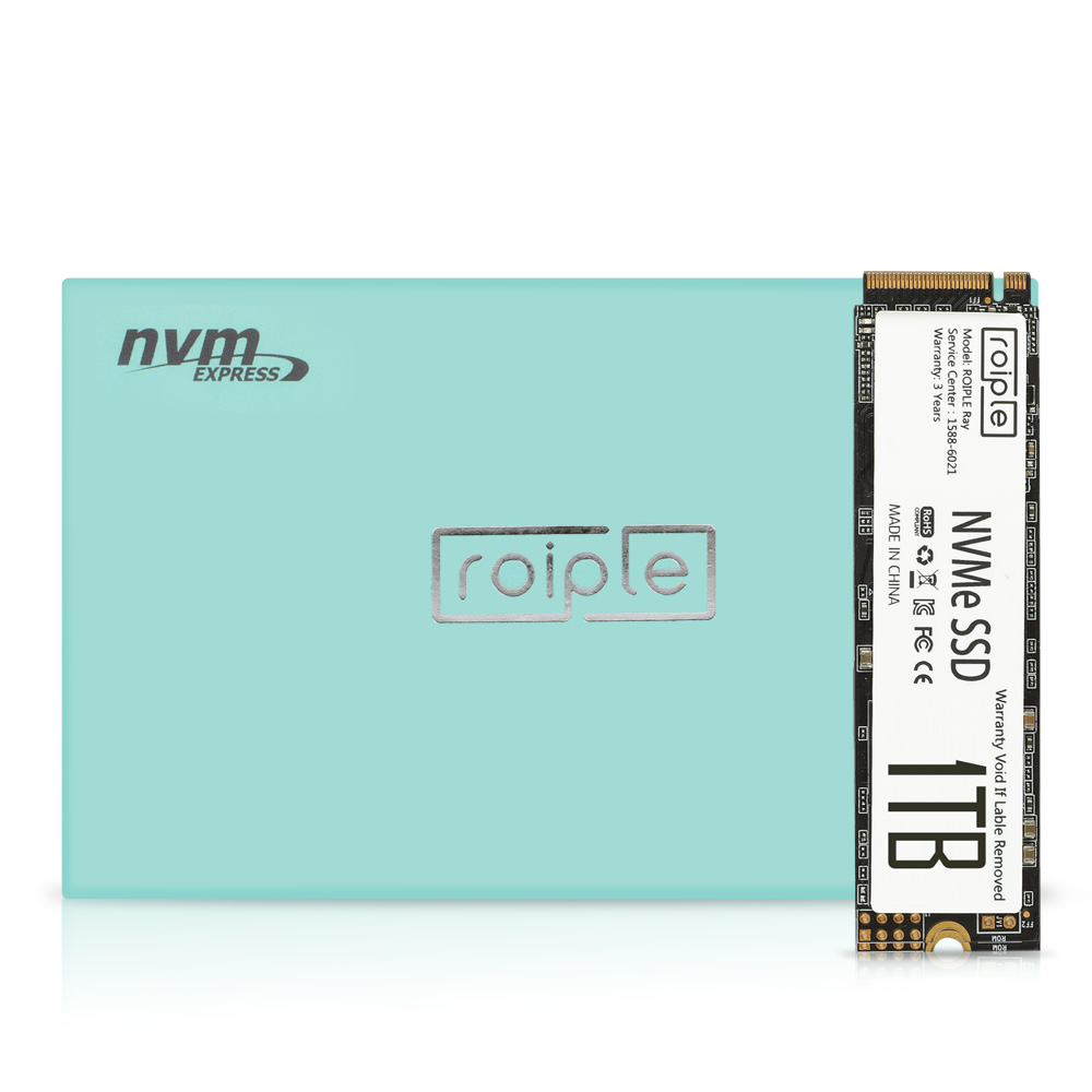 디오테라 ROIPLE Ray M.2 NVMe 1TB : THE SSD