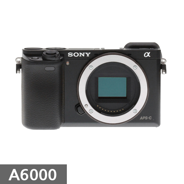 (소니정품)A6000(BODY)/최신품/새상품/컬스 : 주식회사 컬쳐스토리
