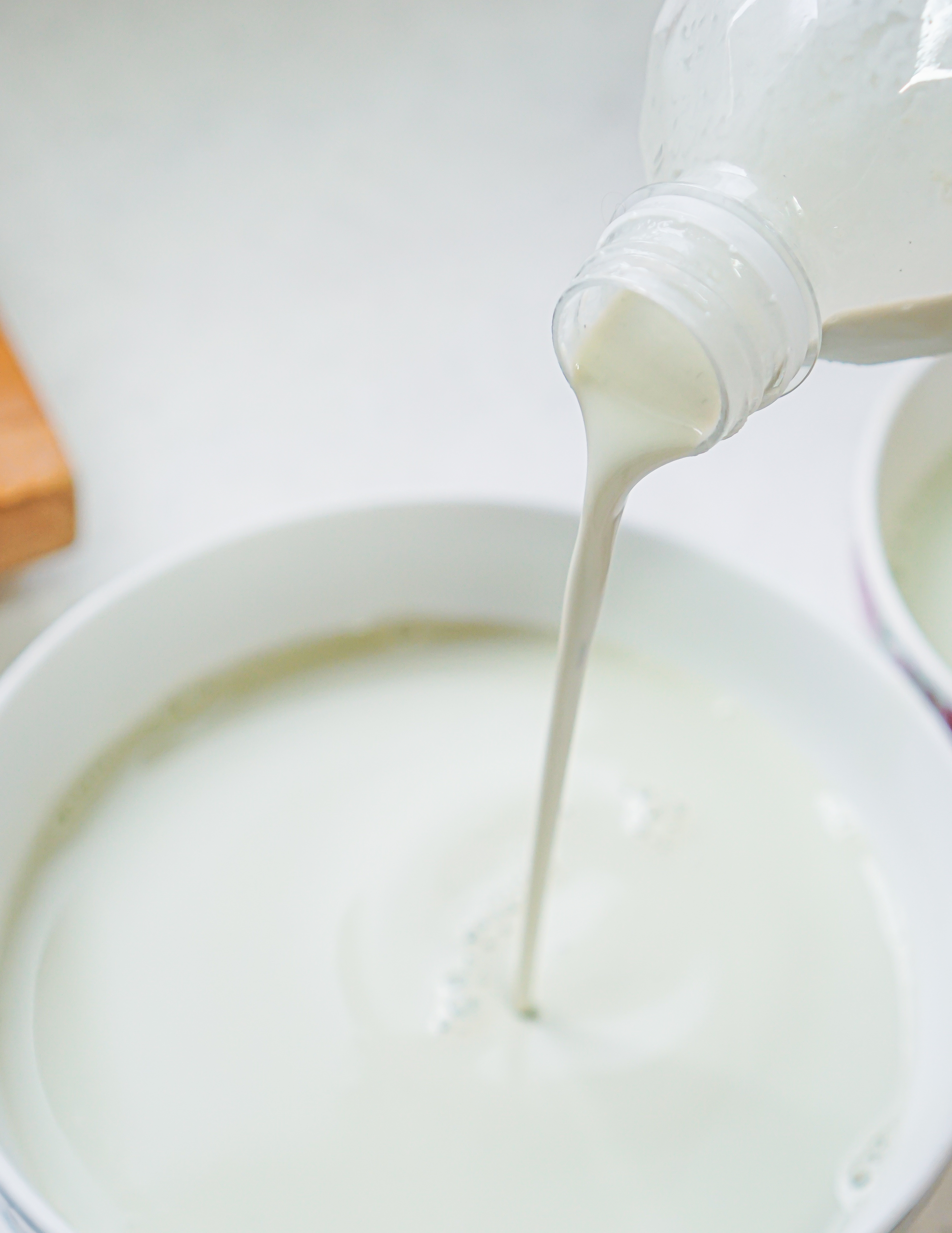 미친 콩물 : 두부의 신