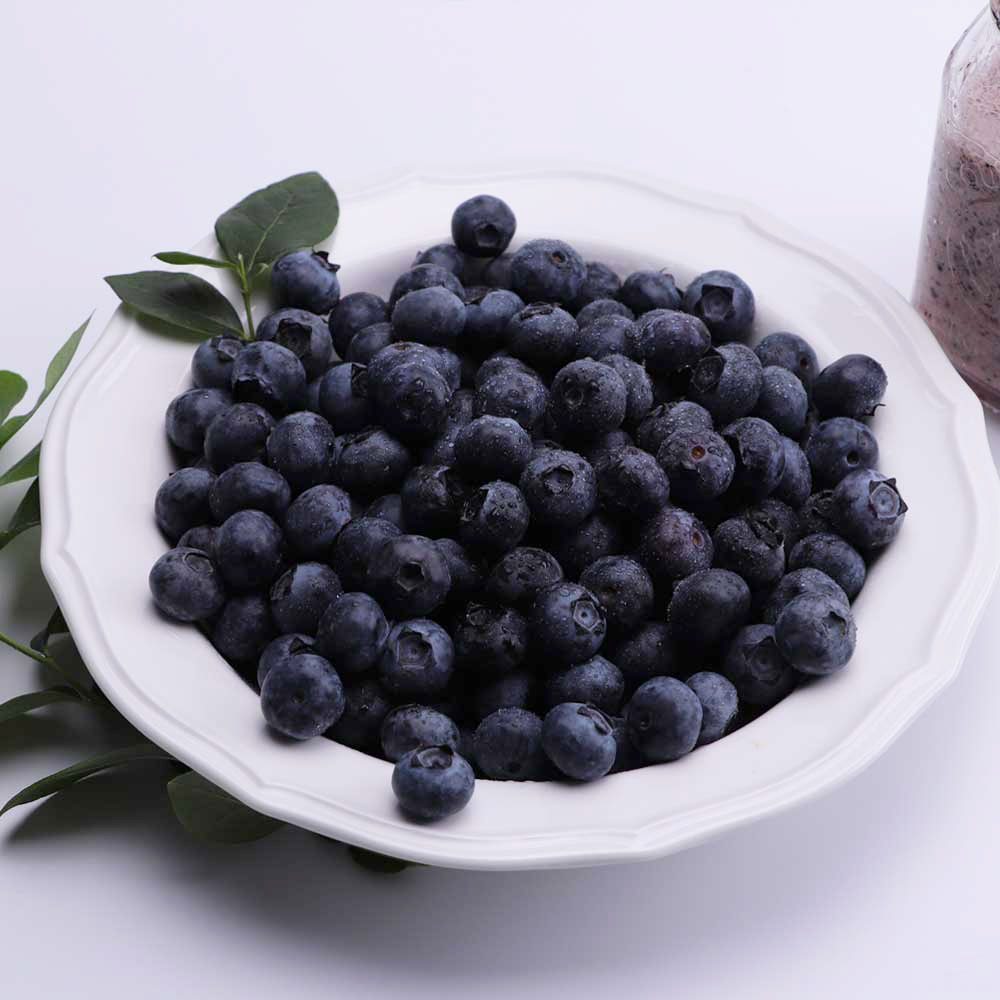 예향농원 온새미로농법 GAP 블루베리 1kg 생과 : 마켓베이