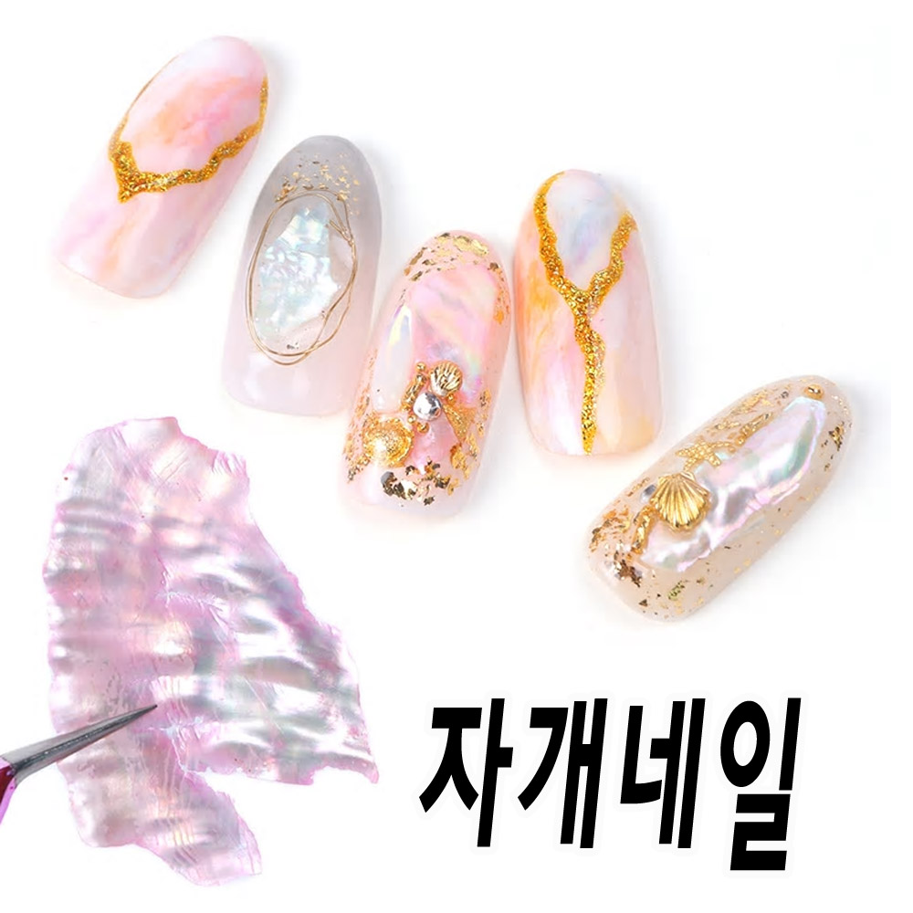 찐 조개껍질 네일아트 자개 조각 재료 WP39582 : 네일데이