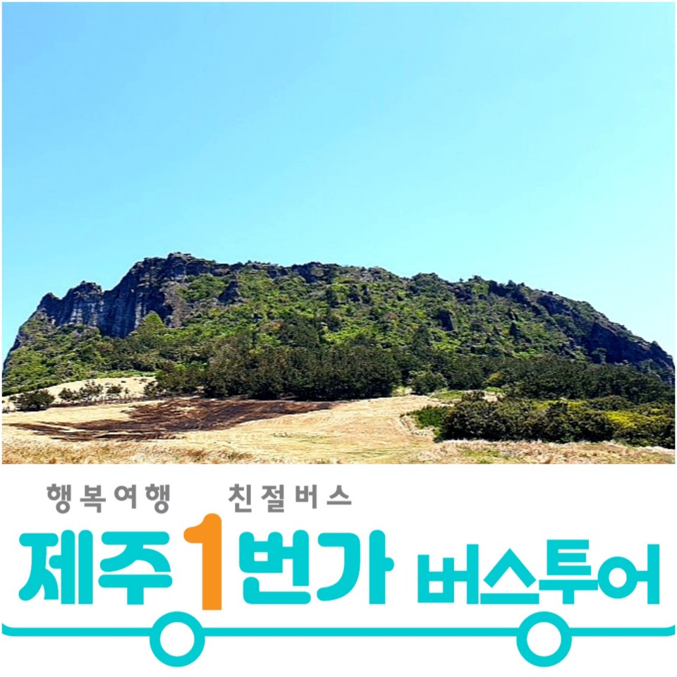 제주도패키지여행 제주감성 버스투어 3박4일 No옵션 효도관광 단체여행 홈쇼핑 미니버스대절 : 제주1번가여행사