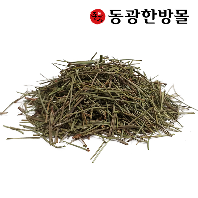 국내산 솔잎 600g : 동광한방몰