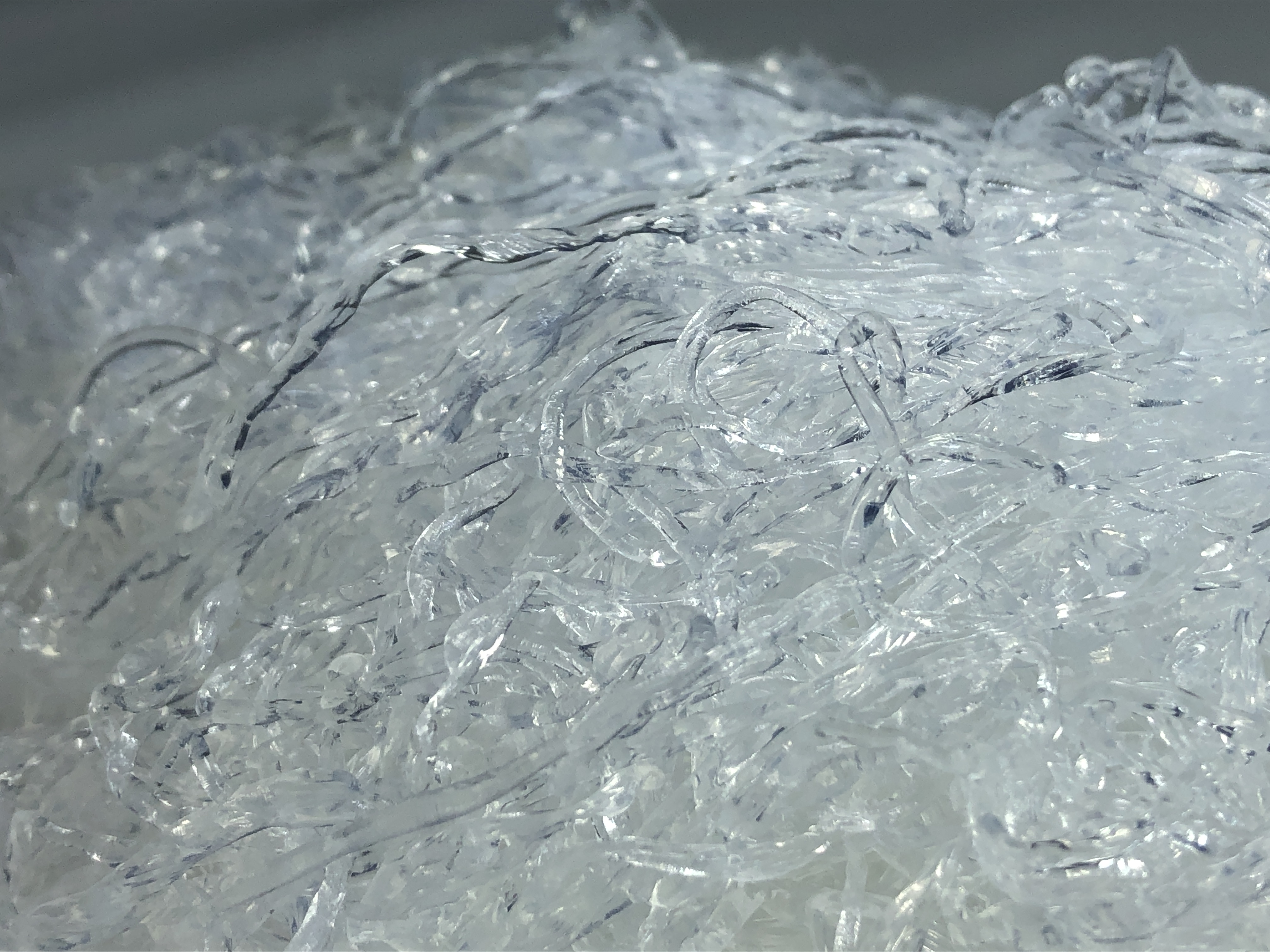 [월산식품] 50년 전통 천사채 (굵은 샐러드용, 실 수산회 데코) / 1kg : 월산식품