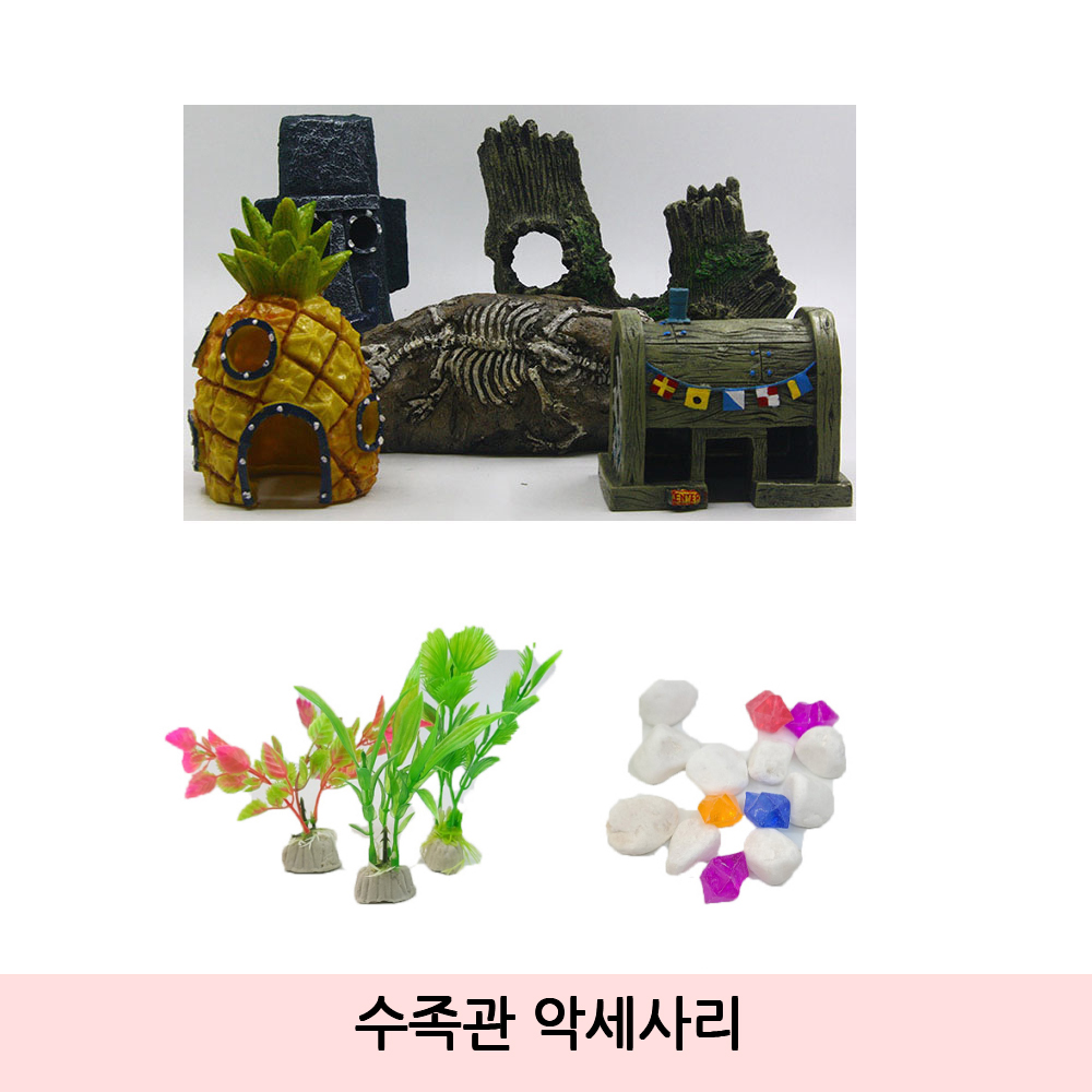 벽걸이 어항 수족관 실내 거실 수초 미니 꾸미기 대형 물때 세트 가정 용 인테리어 물고기 : 까꿍몰