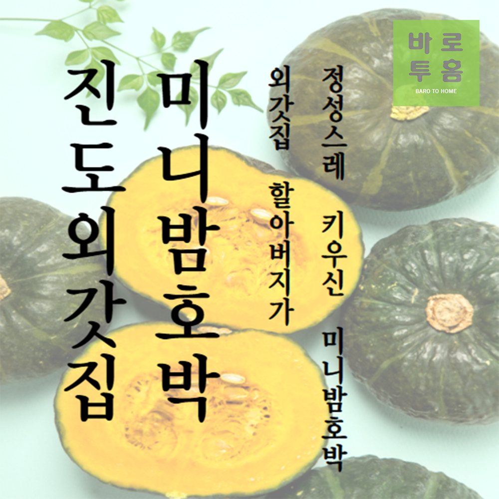 국내산 진도 외갓집  보우짱 미니밤호박 5kg : 바로투홈