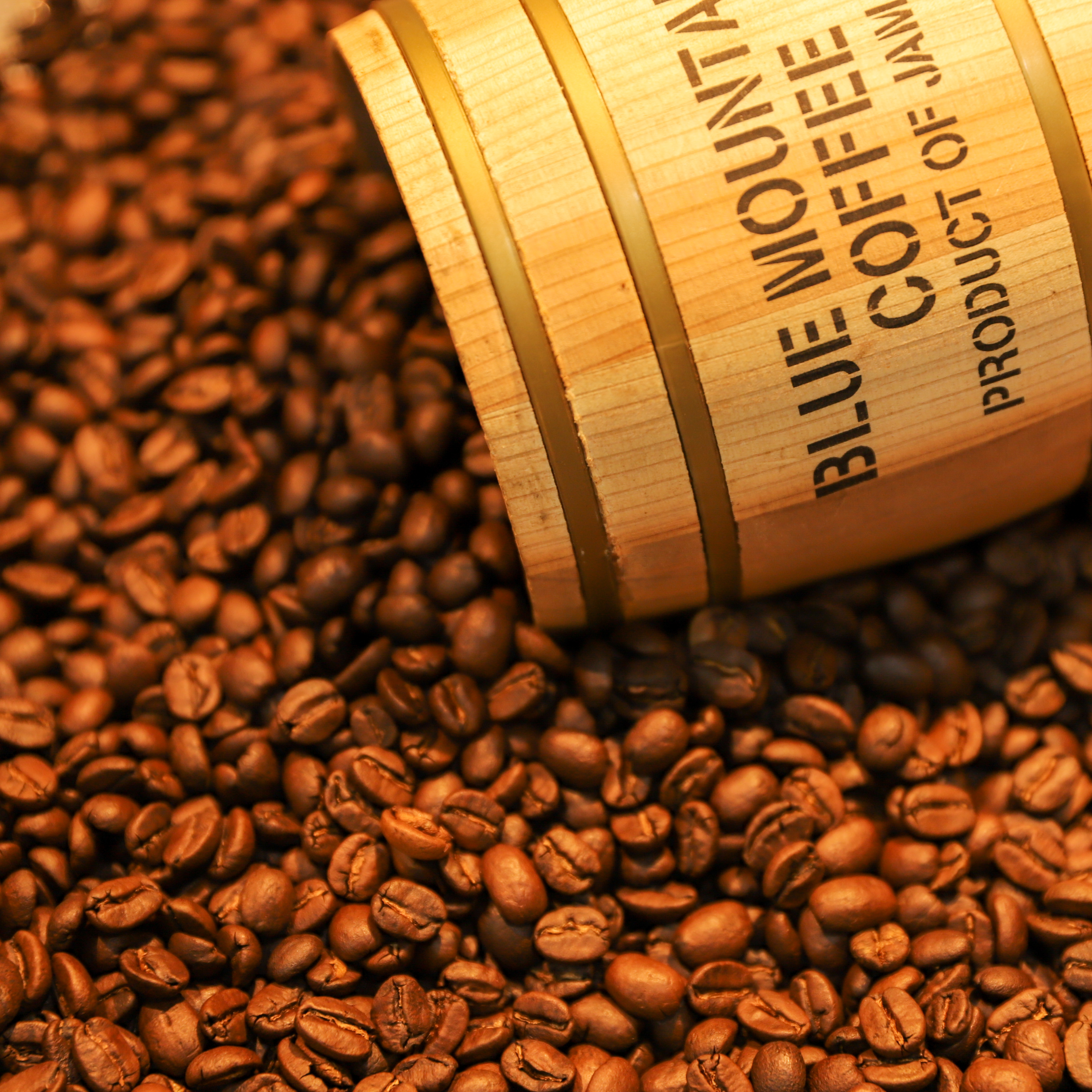 갓볶은 핸드드립 홀빈 원두 커피 200g : Sunday Coffee