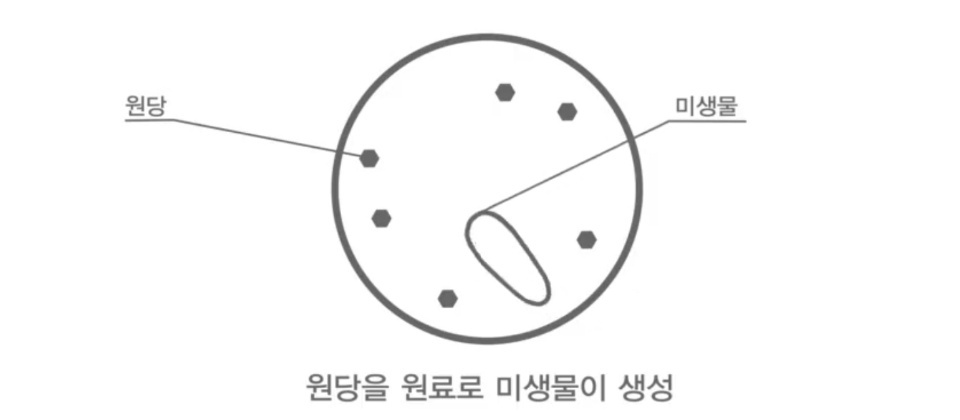 일공일공비디펌 유산균음료 비디펌신바이오틱스 유산균 슈퍼유산균 장기능개선 소화불량효과 1병-5개월분량 장건강에딱좋아 : 스텔라샾