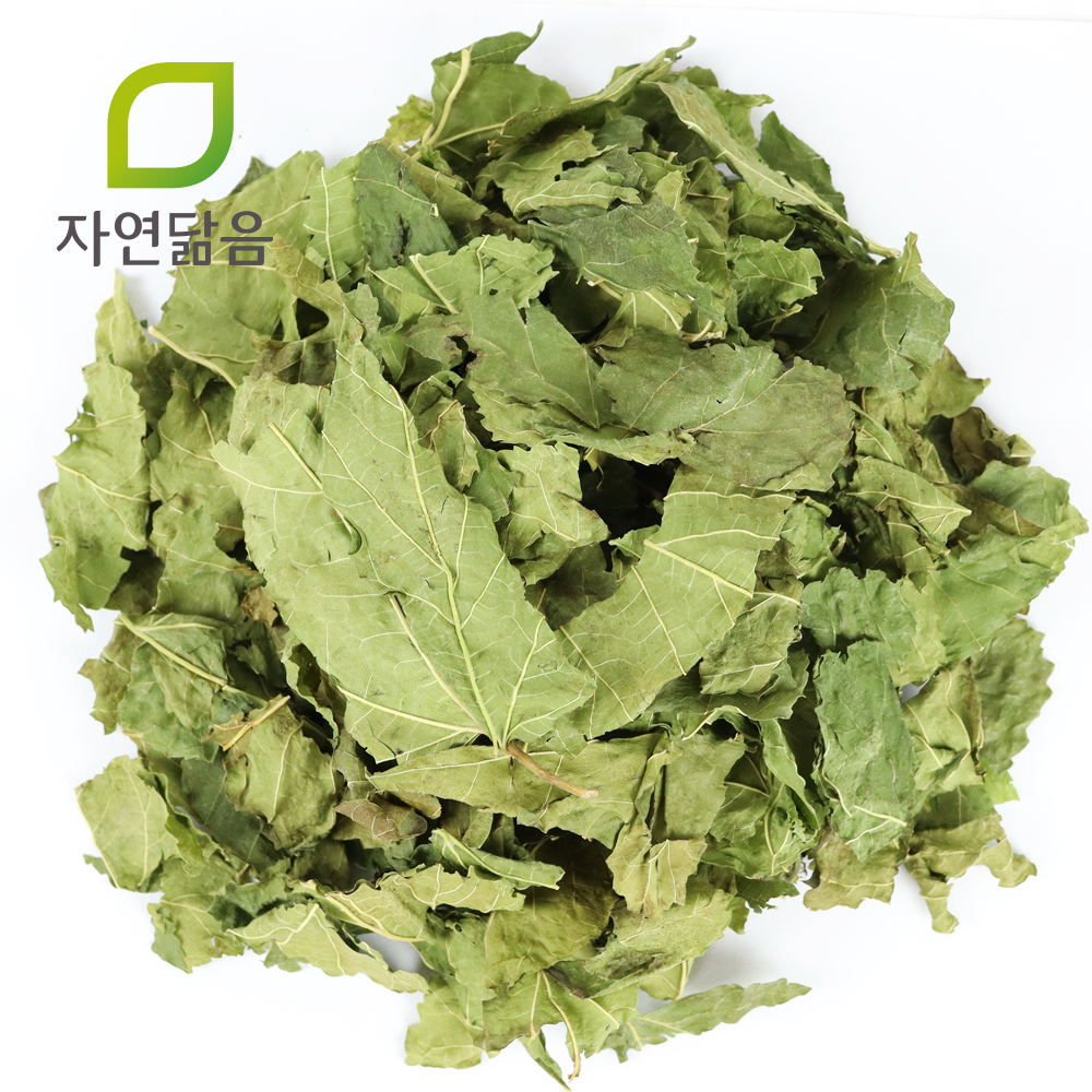 국산 뽕잎 상엽 뽕나무 잎 600g : 자연닮음