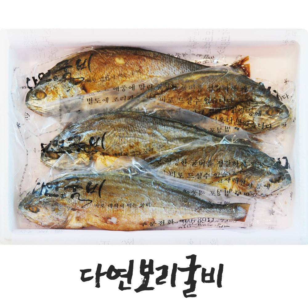 다연 보리굴비 세트 선물용 진공포장 부세 찐보리굴비 내장제거 5마리, 10마리 : 다연보리굴비