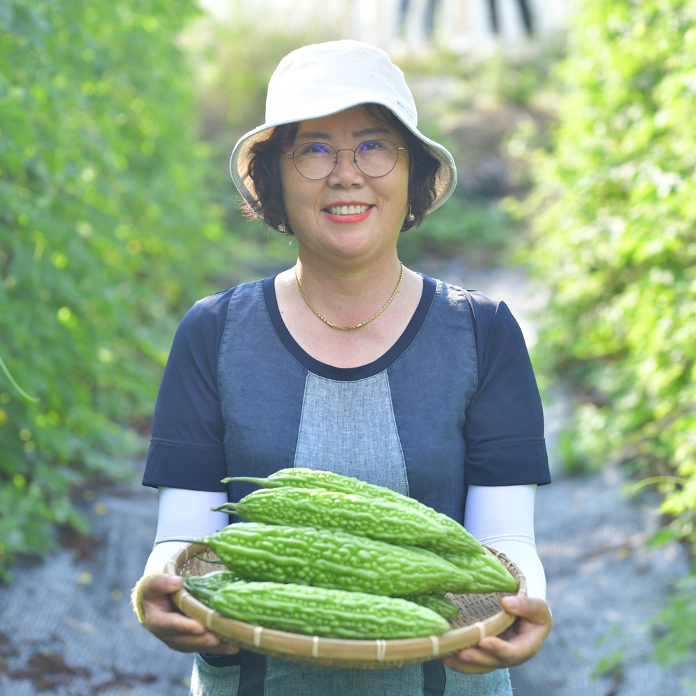 순창 국산 온단비 당자바 여주분말 80g x 3  여주가루 말린여주 : 순창 단비네농장