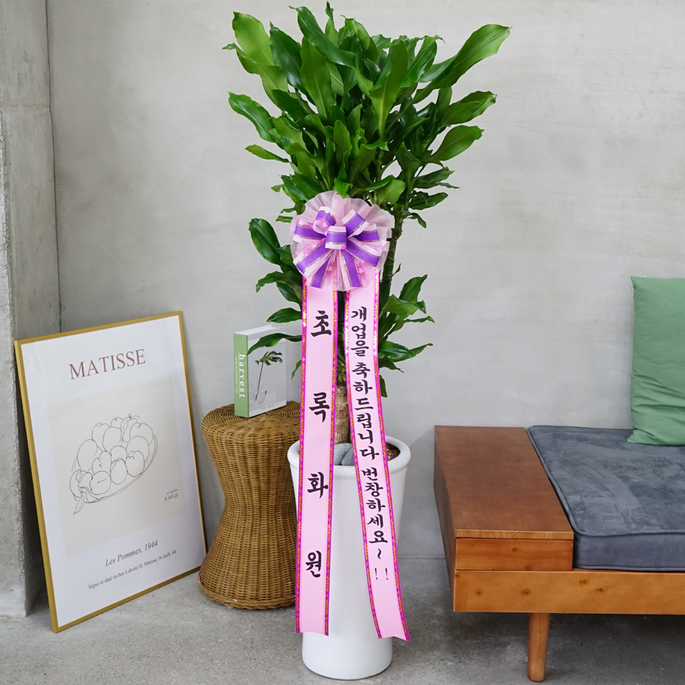 개업화분 황금죽 사무실 개원 카페 식당 2단 3단 배달 : 초록화원