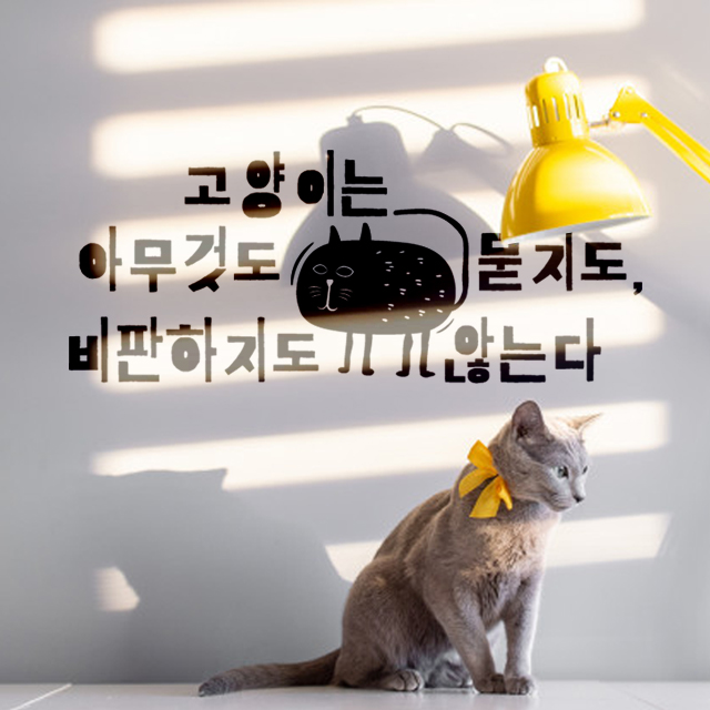 웰던 고양이 명언 인테리어 레터링 스티커 : WELL DONE