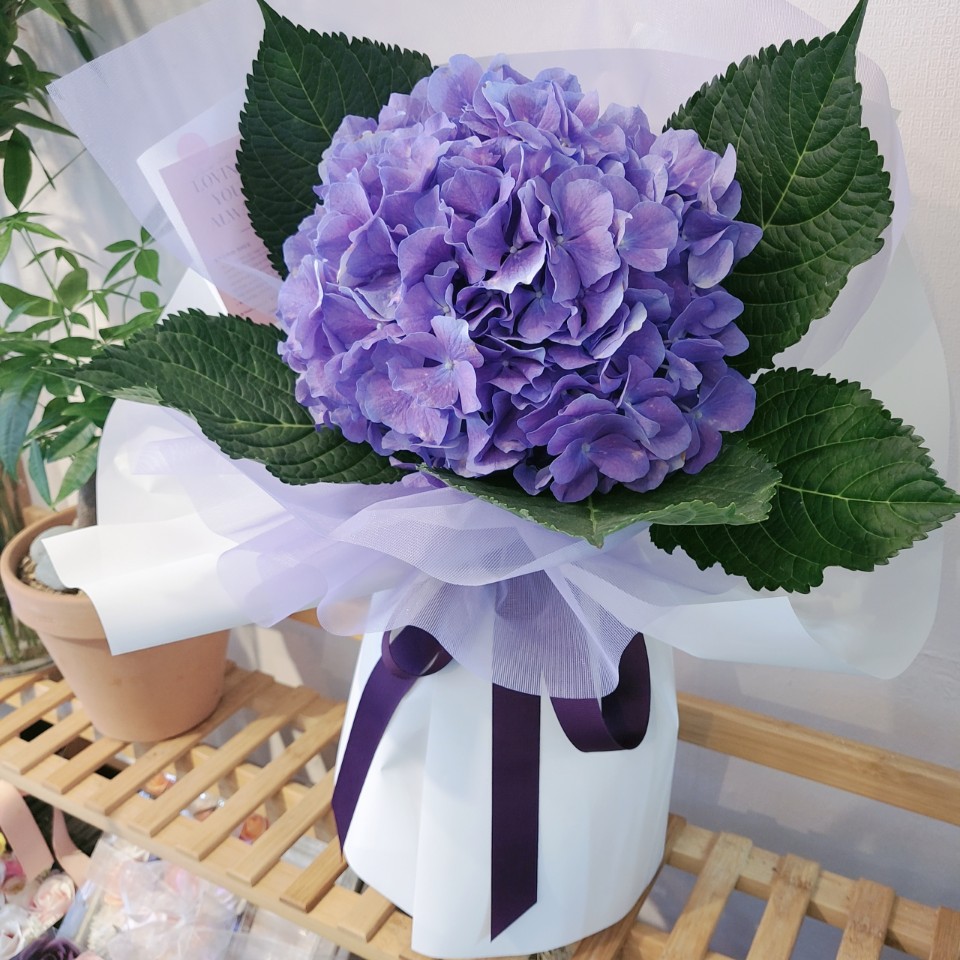 부산꽃배달 광안리꽃집 채움플라워 보라수국 한송이 생일꽃다발 기념일꽃다발 프로포즈꽃다발 : 채움플라워
