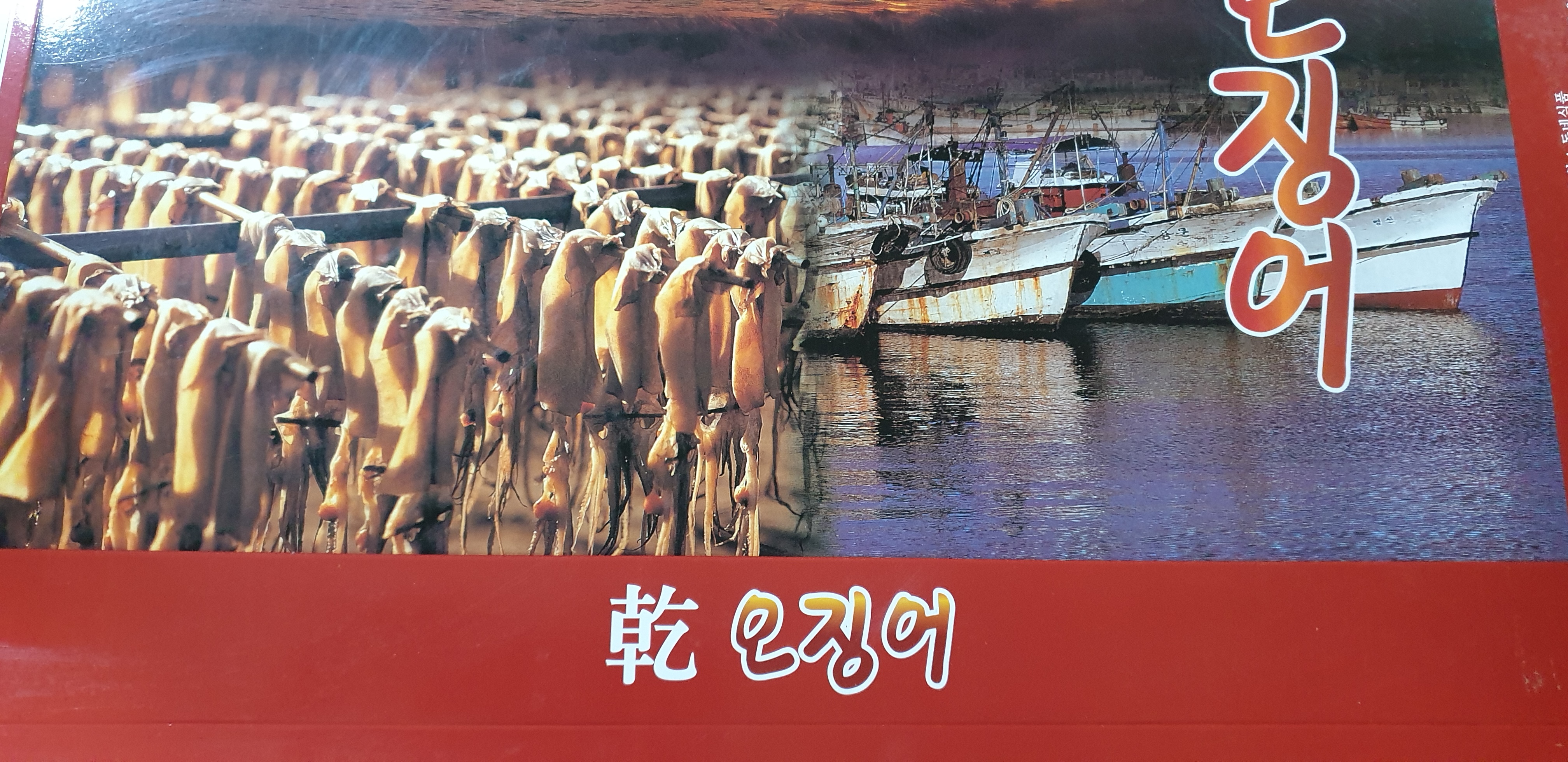 마른오징어 당일바리 2.0kg 1축 20마리 : 동네식품