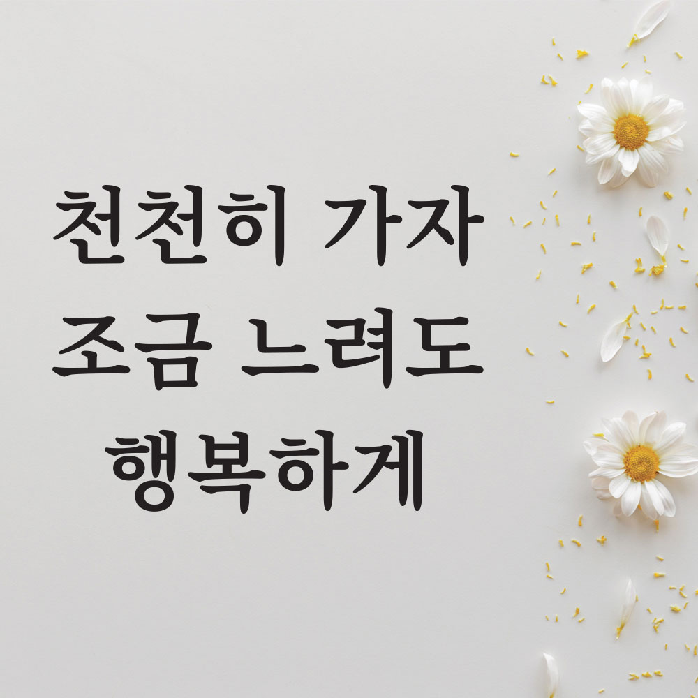 감성 문구 스티커 감동 27가지 글귀 레터링 손글씨 벽 인테리어 현관문 창문 시트컷팅 : 끄끄디자인