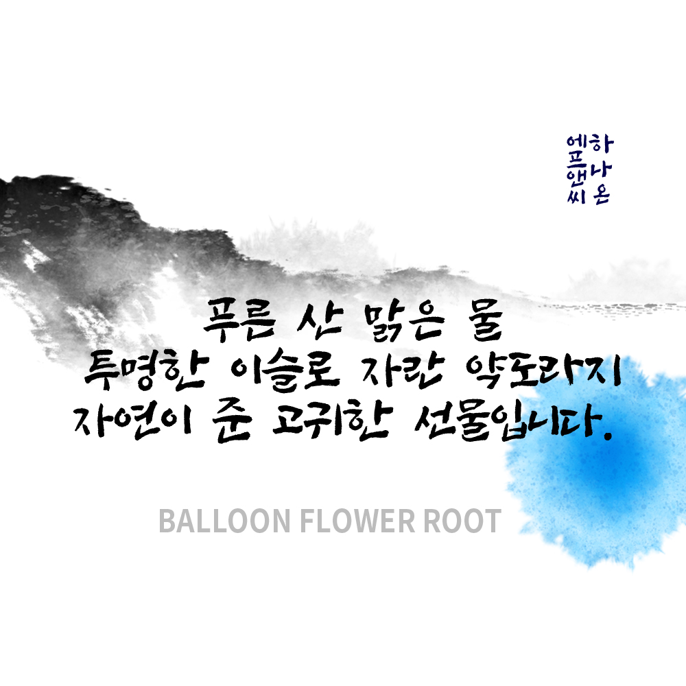 [청강원] 약도라지청 국내산100% 600g 도라지80%함유 : 하나온에프앤씨