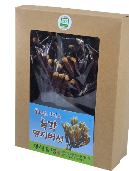녹각영지버섯엑기스 100ml 30개 : 만년애농장