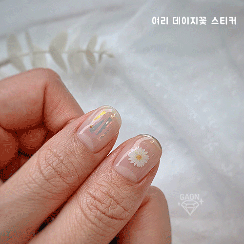 여리 데이지꽃 스티커(Pro-076) / 데이지 : 가온네일