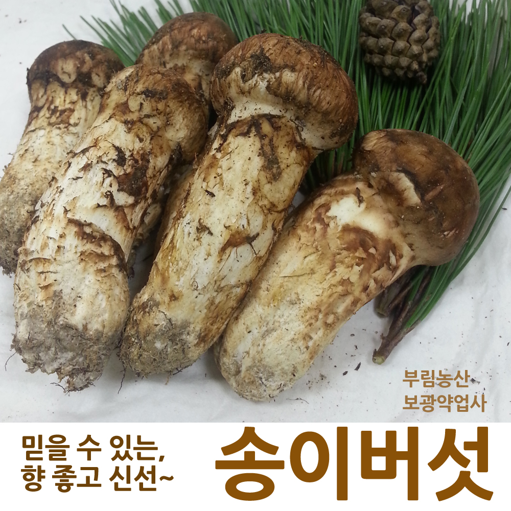 2023 송이버섯 능이버섯 자연산송이 선물세트 : 부림농산 영농조합법인
