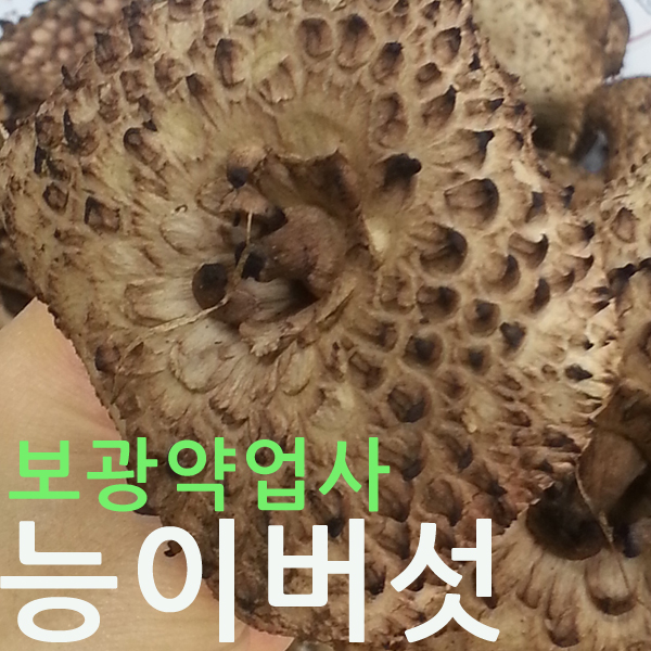 2023 능이버섯 국산능이버섯 능이 : 부림농산 영농조합법인