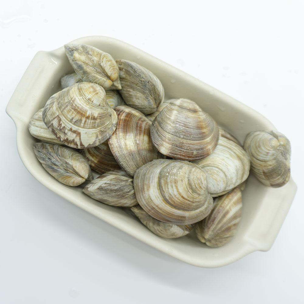 해감 백상합 백합 조개 상합 생합 백생합 1kg 캠핑 구이 찜 제철 : 참조은수산