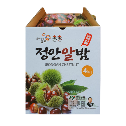 정안알밤(대) 4kg : 금정알밤농원