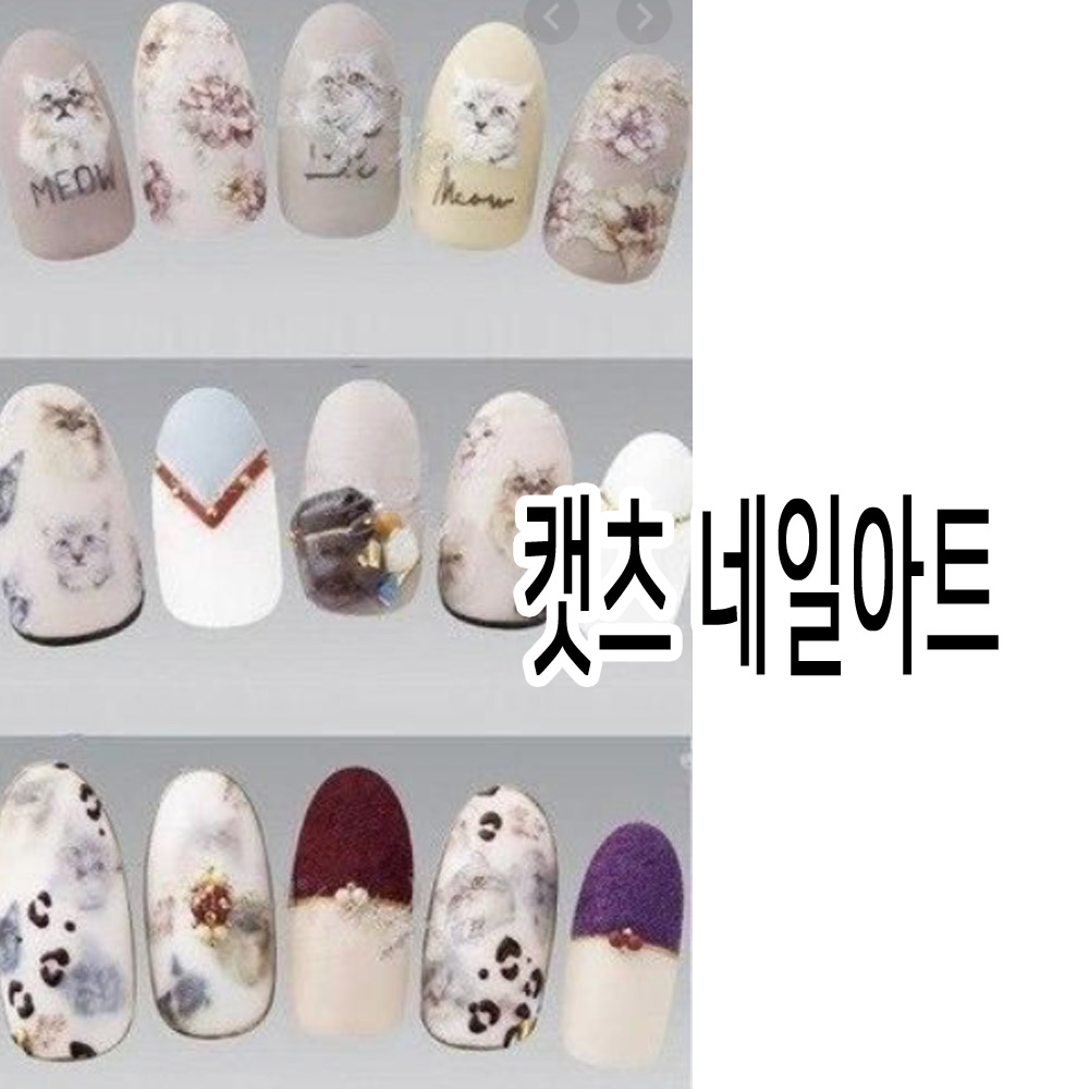 캣츠네일 아트 데칼 워터 씰 - cat : 오늘은 네일데이