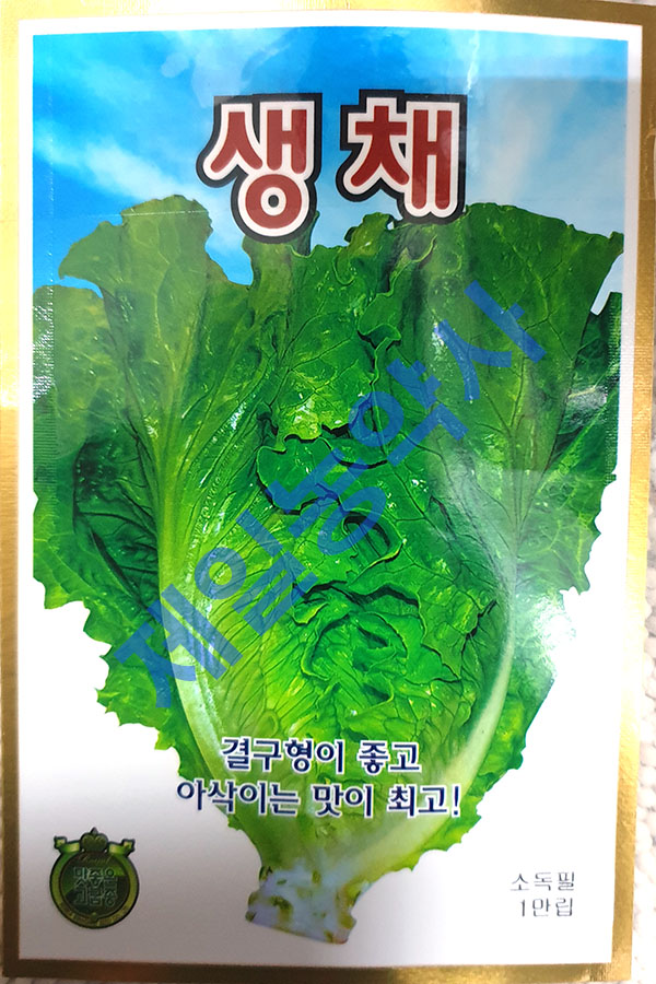 생채코팅상추씨앗 1만립 24년포장 : 제일농약사