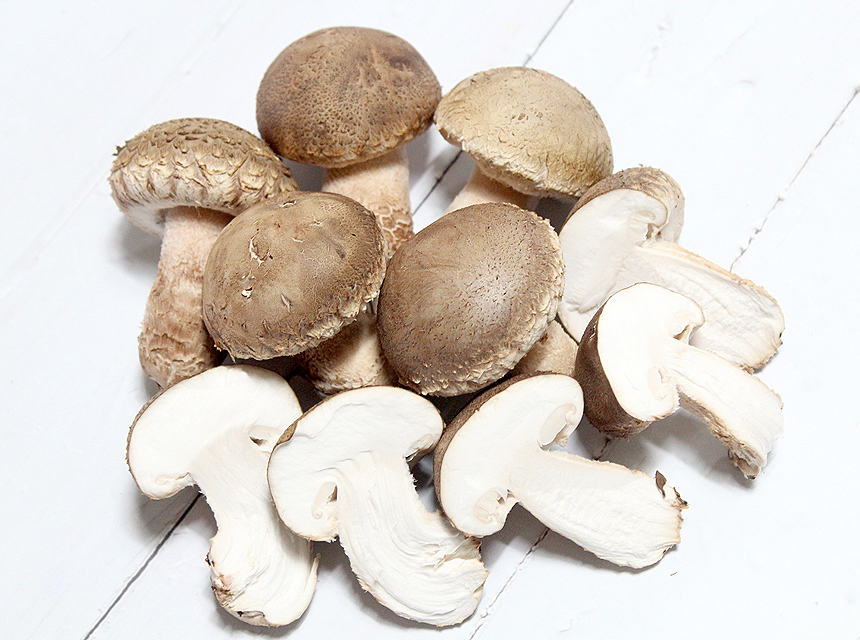 문경 송화고 고기버섯 송고 솔송화버섯  500g 1kg 송이향 고기맛 : e농부