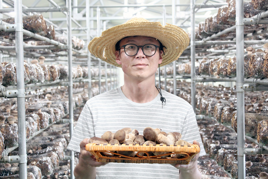 문경 송화고 고기버섯 송고 솔송화버섯  500g 1kg 송이향 고기맛 : e농부