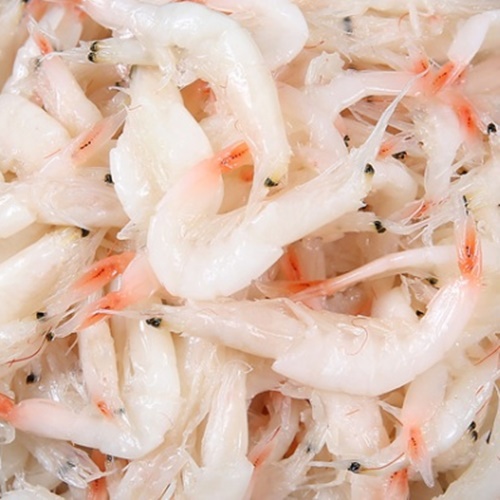강경 백제 젓갈 더 젓갈 햇 새우 육젓(최상품)  0.5kg : 365 젓갈상인