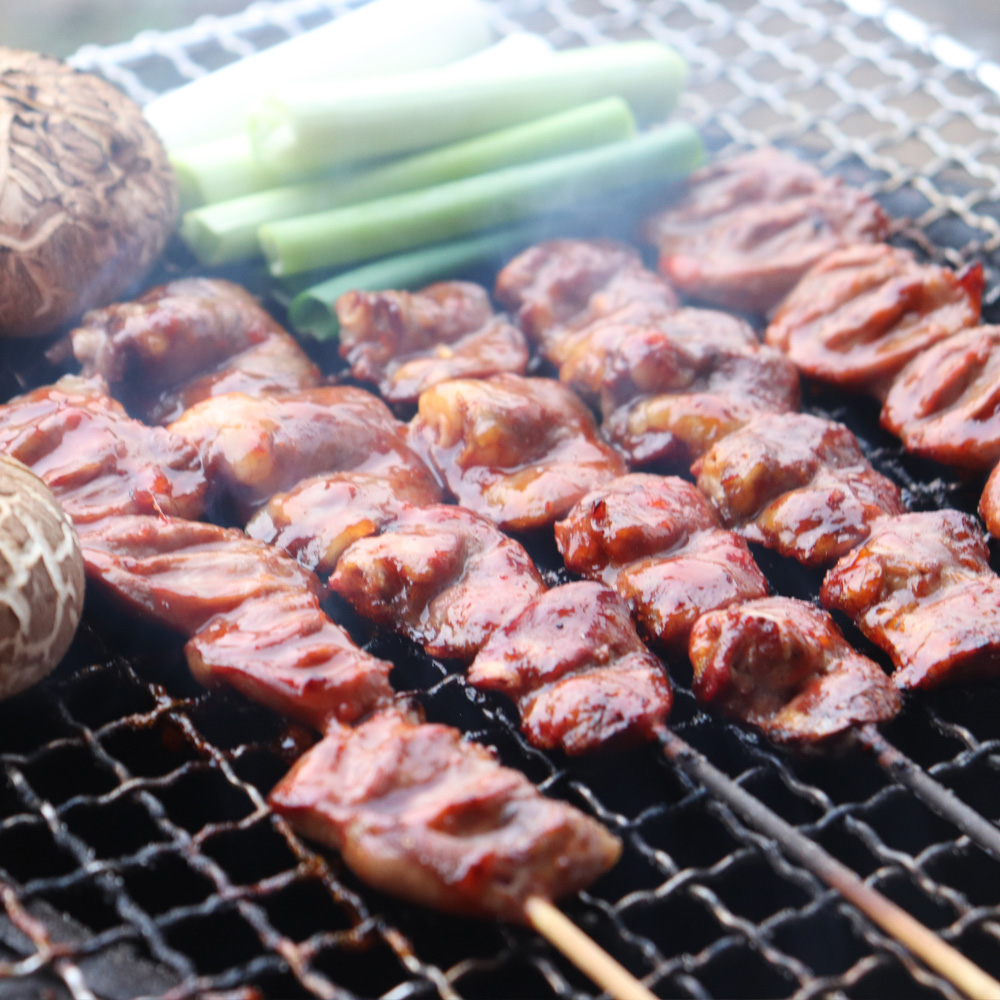 국내산 염통꼬치 20개 400g 캠핑 바베큐 꼬치구이 : 더마시따