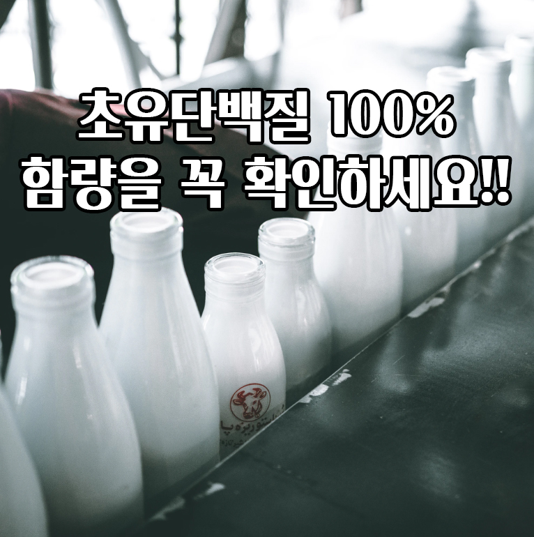 월계수153 초유단백질 분말 가루 함량 100% 초유프로틴 1+1이벤트 : 월계수몰