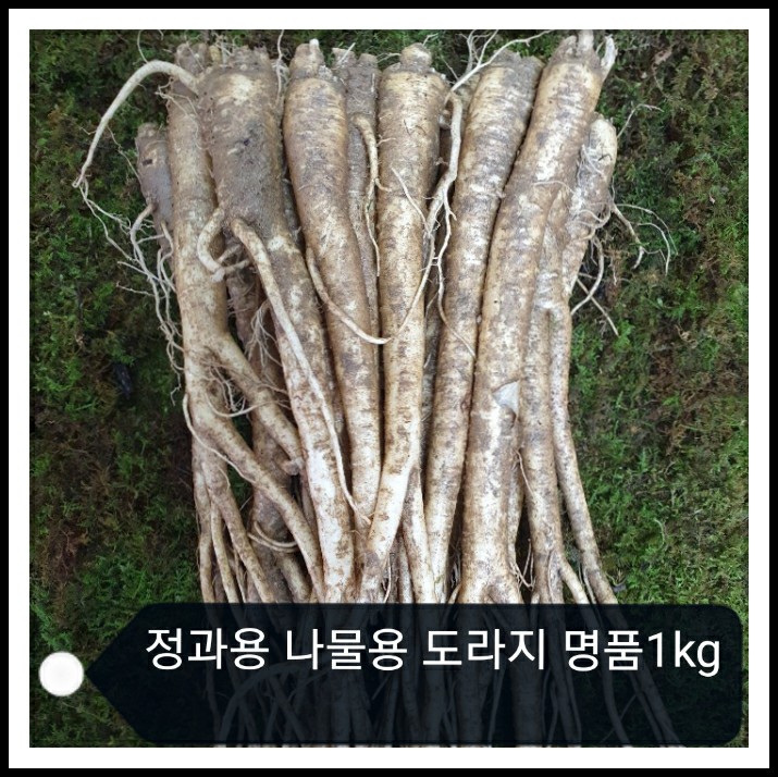 [횡성 더덕, 도라지 농가 직송] 도라지(정과용 나물용) 명품 1kg : 횡성더덕농가