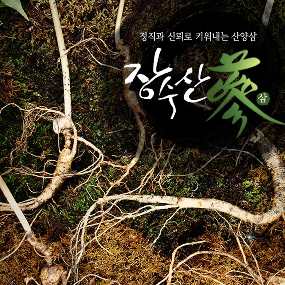 장생 장수산삼 5~8년근 5~10뿌리.백두대간800m 산양삼 : 모두