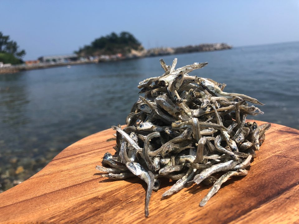 거제도 정치망 볶음 고바멸치 500g 750g 중멸치 : 멸치in거제