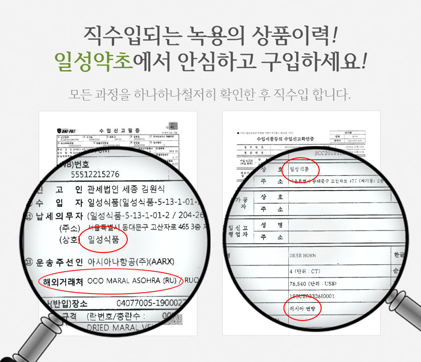 일성약초 러시아산 녹용 상대 일반형 75g : 일성약초