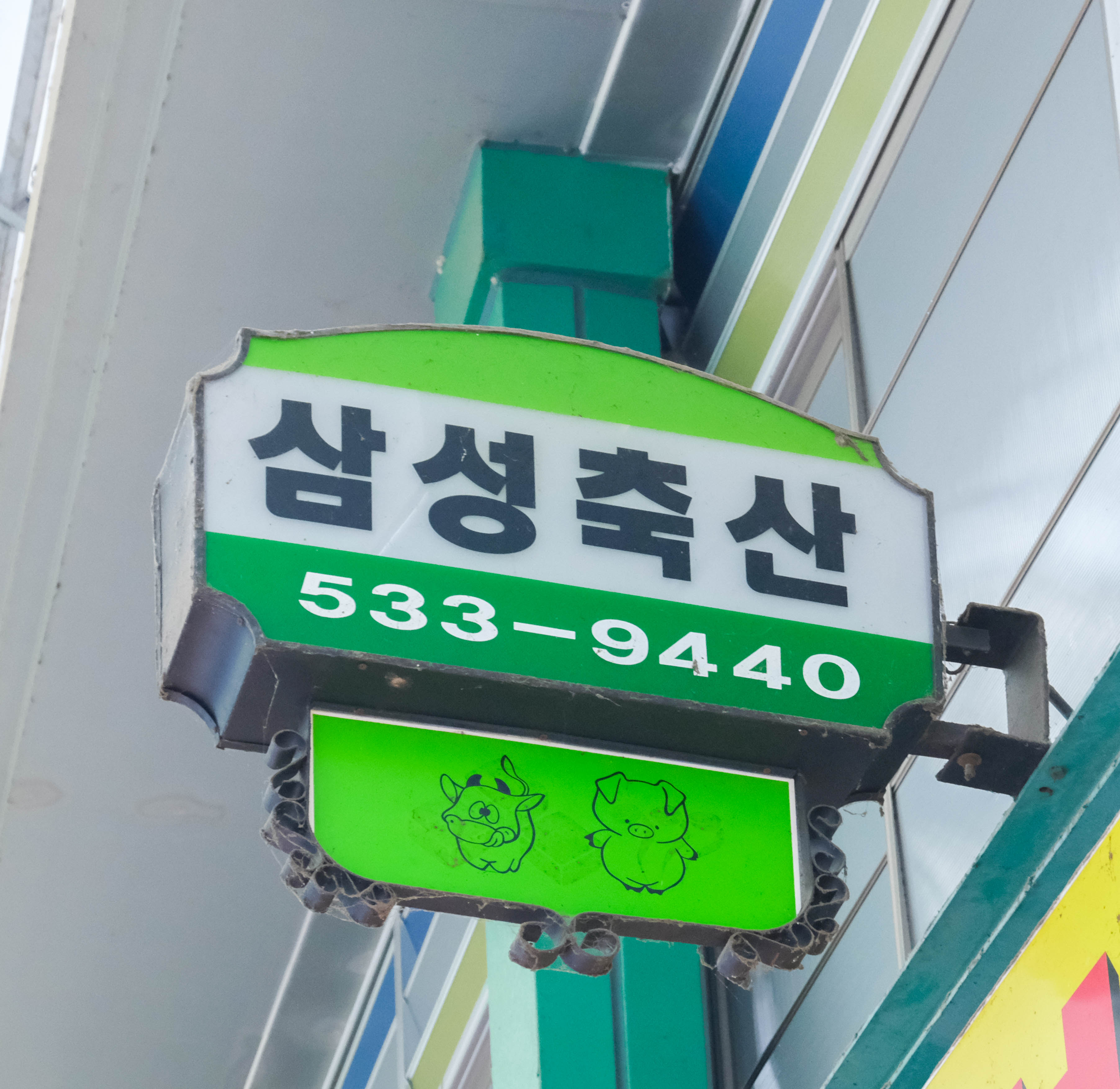 [대전 서구 배달] 수입 삼겹살 600g [도마큰 삼성정육점] : 동네시장 장보기