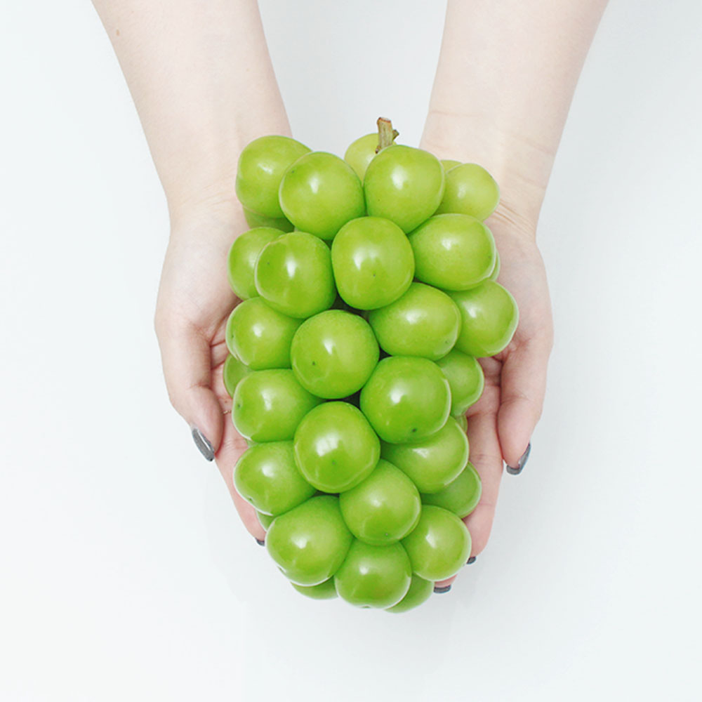 영암 고당도 샤인머스켓 포도 2kg 망고포도, 선물 겸용 : 오투팜 스토어