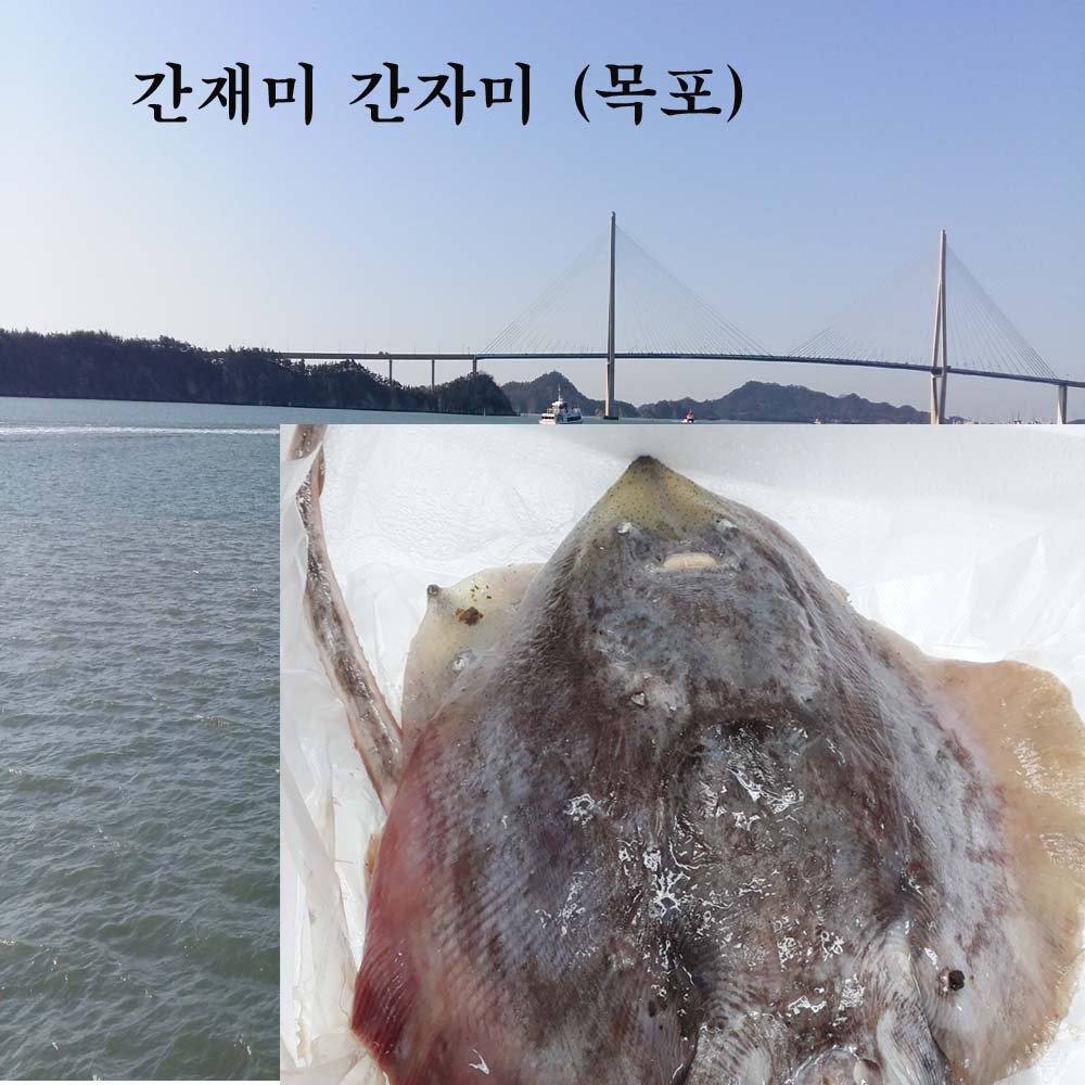 간재미 간자미  1kg 전후 목포 : 장수웰빙