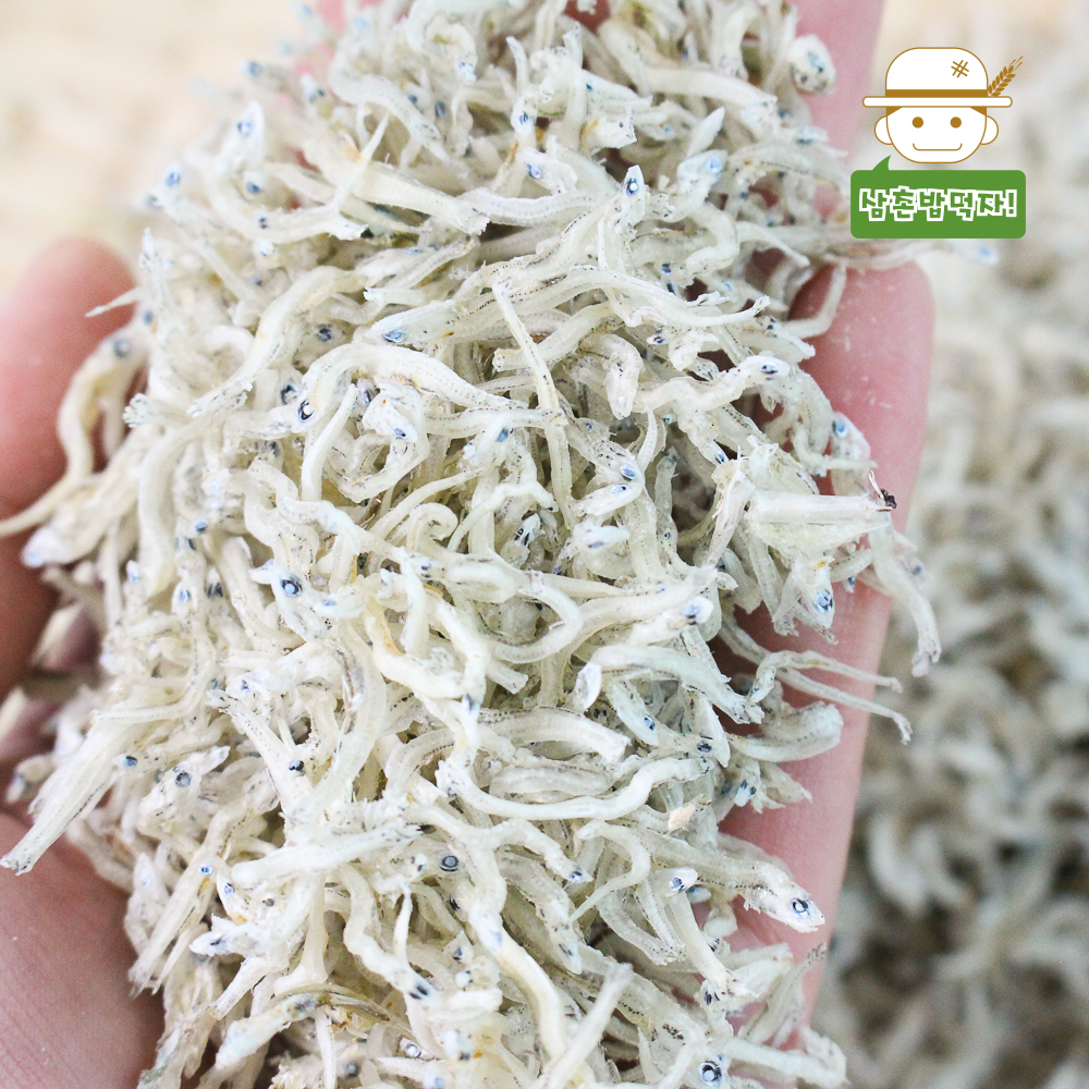 남해 전통멸치 (잔멸치)1.5kg : 삼촌밥먹자