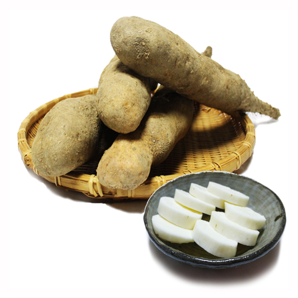 산지직송 안동산마 참마 안동 마 산약마 산마 장마 단마 햇마 3kg : 장현식품