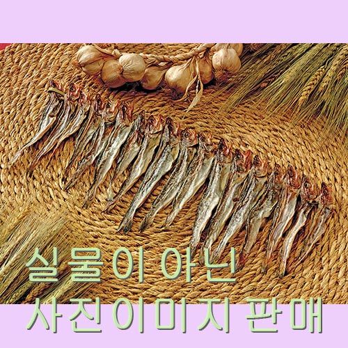 시사모구이 건어물 음식사진 음식이미지 푸드 요리 음식 요리사진 사진 이미지 맛집 푸드 10001817 : 이미지
