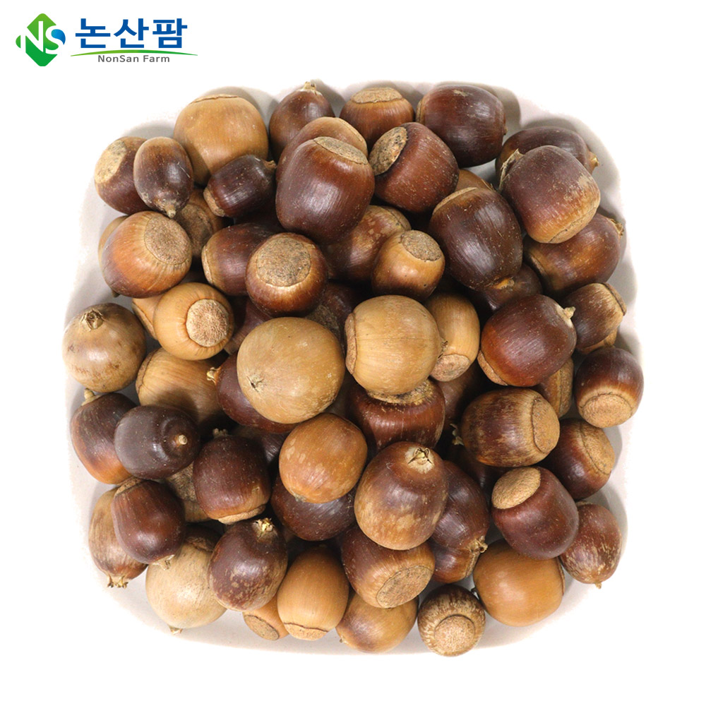 24년 생 상수리 열매 1kg 도토리열매 도토리묵 : 논산팜